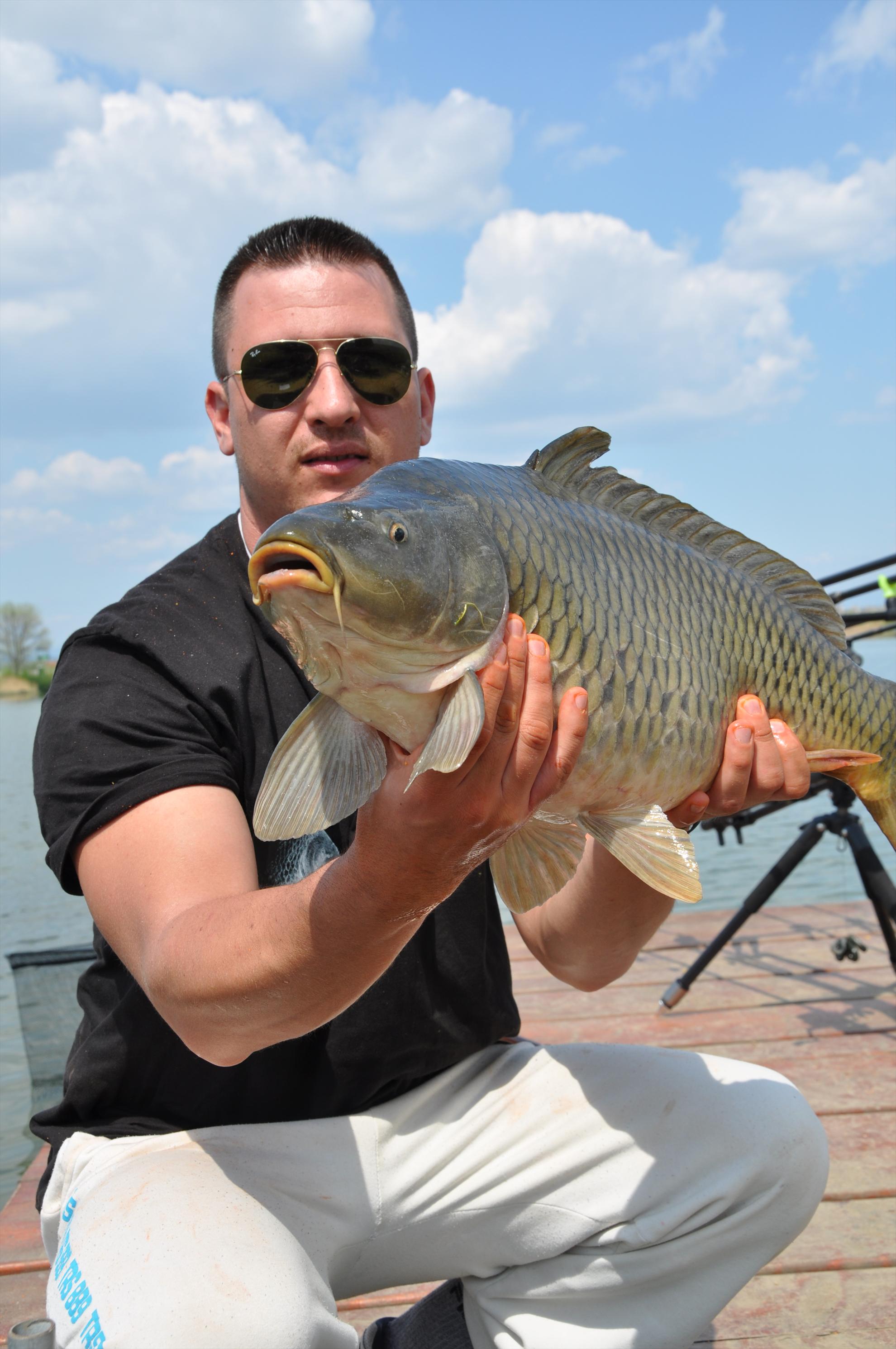 GALERIE FOTO TROFEUL USAMV - PLEASA 2 - dsc0496.JPG